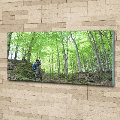 Quadro in vetro Ornitologo nella foresta