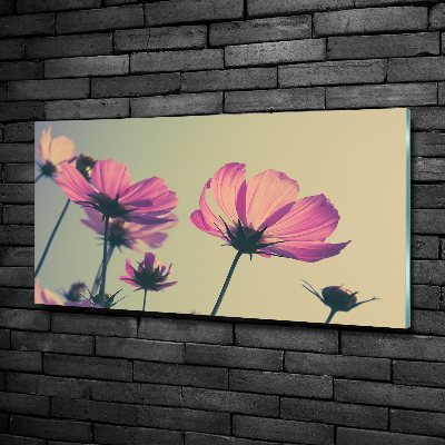 Quadro vetro Fiori rosa