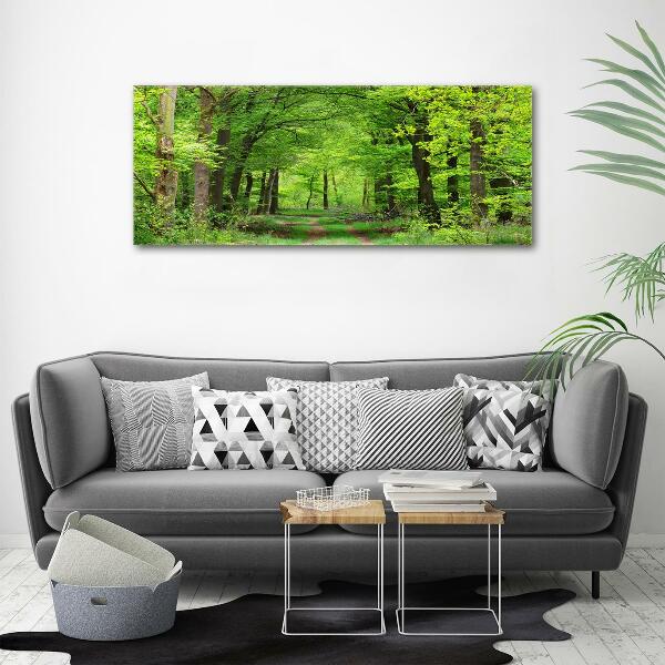 Quadro su vetro Foresta primaverile