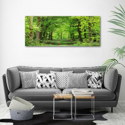 Quadro su vetro Foresta primaverile