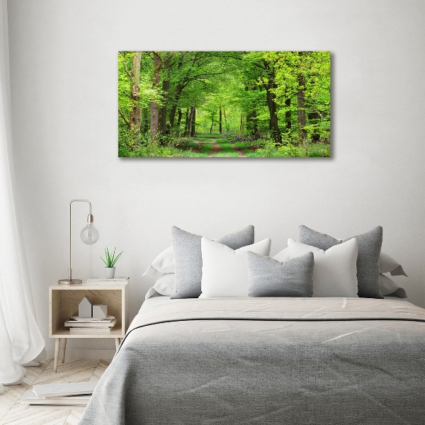 Quadro su vetro Foresta primaverile