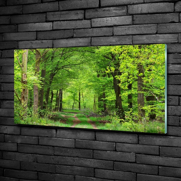 Quadro su vetro Foresta primaverile
