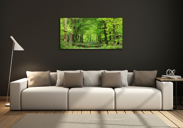 Quadro su vetro Foresta primaverile