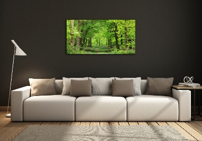 Quadro su vetro Foresta primaverile