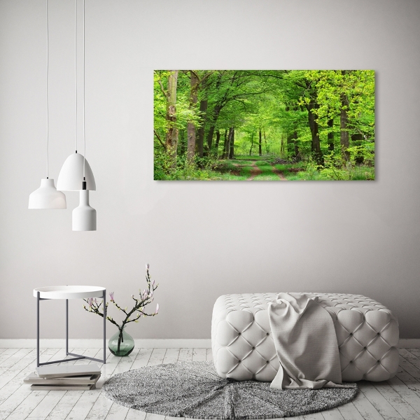 Quadro su vetro Foresta primaverile