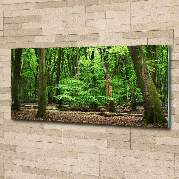 Quadro vetro Foresta olandese