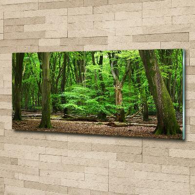 Quadro vetro Foresta olandese