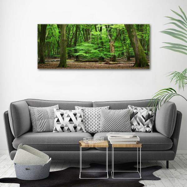 Quadro vetro Foresta olandese
