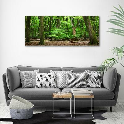 Quadro vetro Foresta olandese