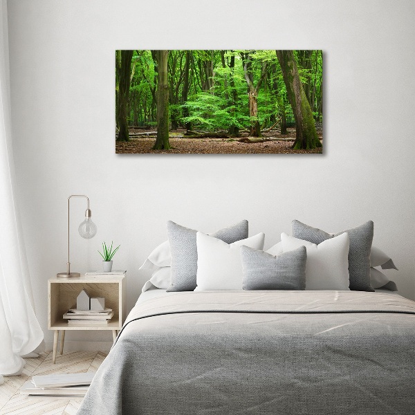 Quadro vetro Foresta olandese