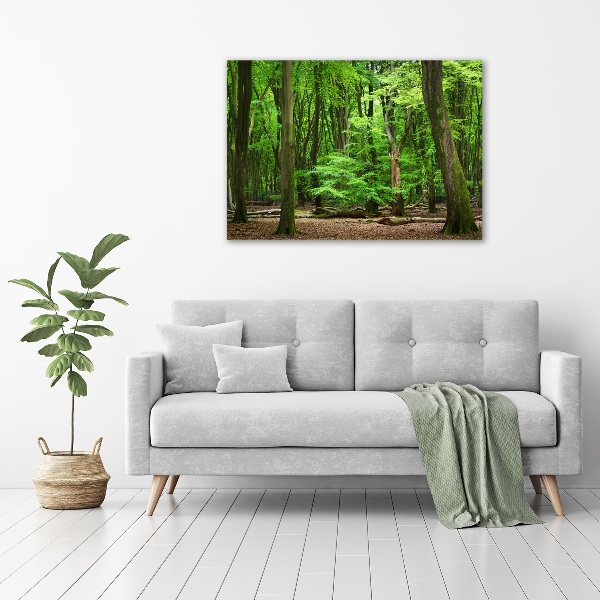 Quadro vetro Foresta olandese