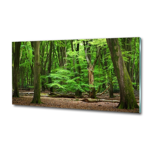 Quadro vetro Foresta olandese