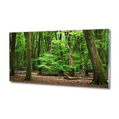 Quadro vetro Foresta olandese