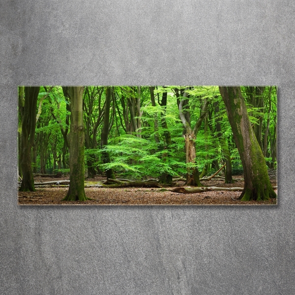 Quadro vetro Foresta olandese