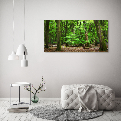 Quadro vetro Foresta olandese