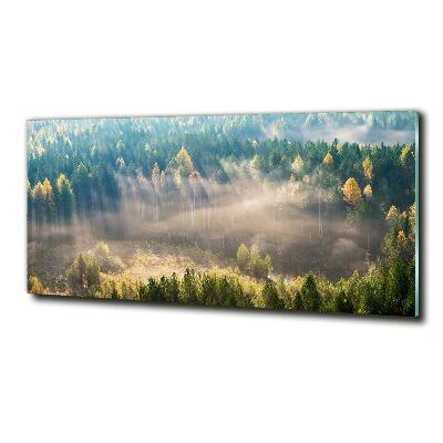 Quadro in verde Nebbia nella foresta