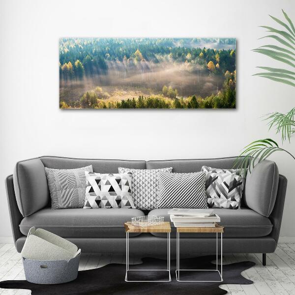 Quadro in verde Nebbia nella foresta