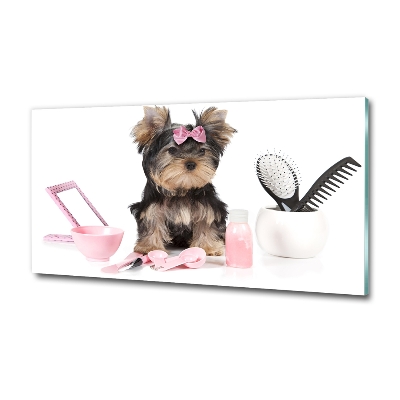 Quadro su vetro Cosmetici dello Yorkshire