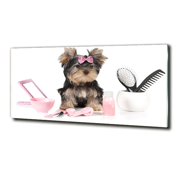 Quadro su vetro Cosmetici dello Yorkshire