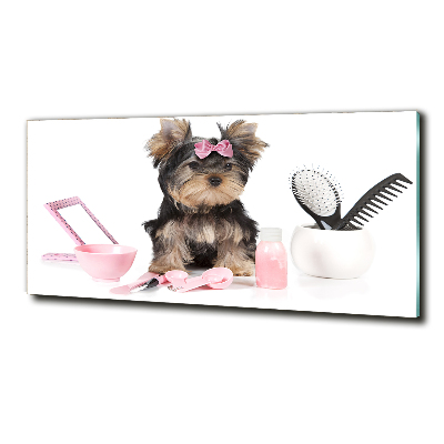 Quadro su vetro Cosmetici dello Yorkshire