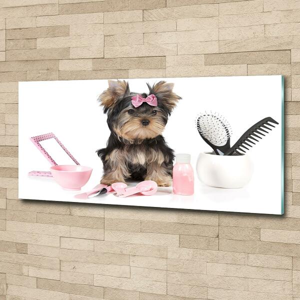 Quadro su vetro Cosmetici dello Yorkshire