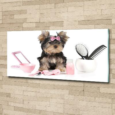 Quadro su vetro Cosmetici dello Yorkshire