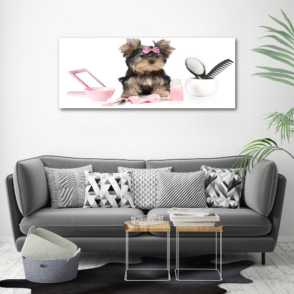 Quadro su vetro Cosmetici dello Yorkshire