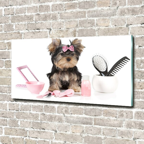 Quadro su vetro Cosmetici dello Yorkshire