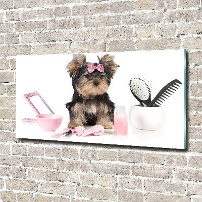 Quadro su vetro Cosmetici dello Yorkshire