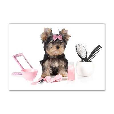 Quadro su vetro Cosmetici dello Yorkshire