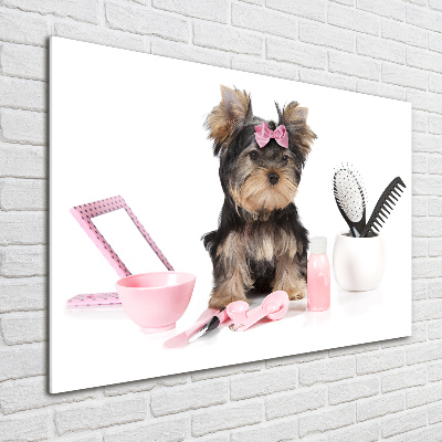 Quadro su vetro Cosmetici dello Yorkshire