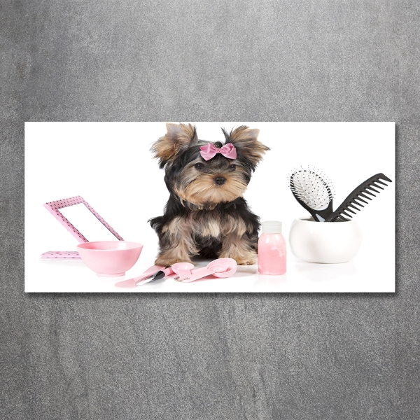 Quadro su vetro Cosmetici dello Yorkshire