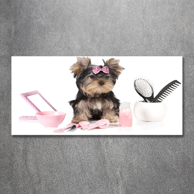 Quadro su vetro Cosmetici dello Yorkshire