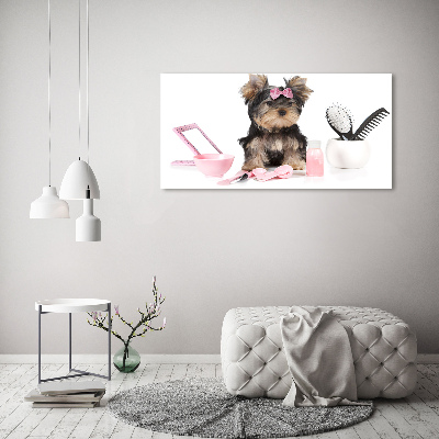 Quadro su vetro Cosmetici dello Yorkshire