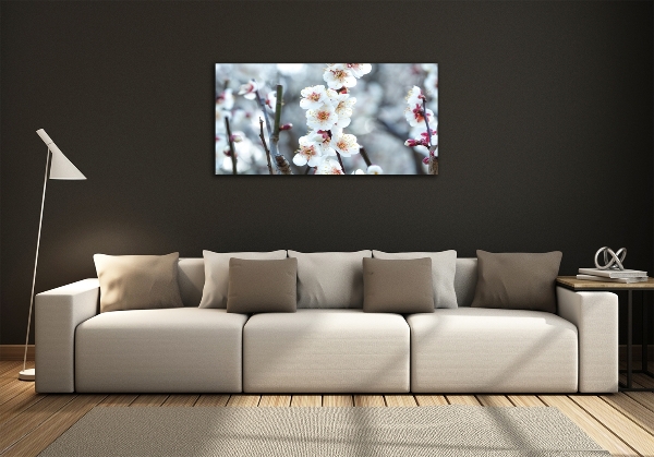 Quadro in vetro Fiori di ciliegio