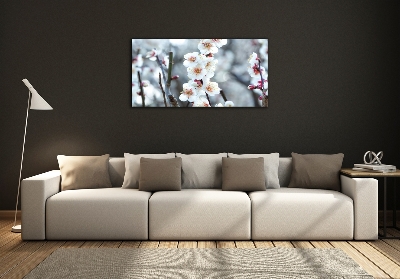 Quadro in vetro Fiori di ciliegio