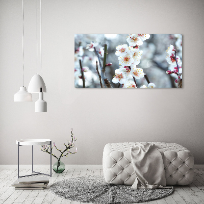 Quadro in vetro Fiori di ciliegio