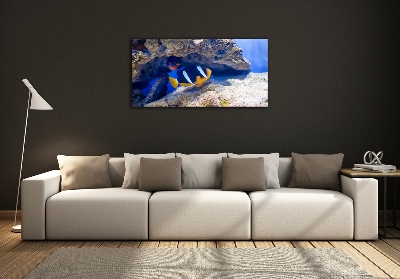 Quadro in verde Pesci tropicali