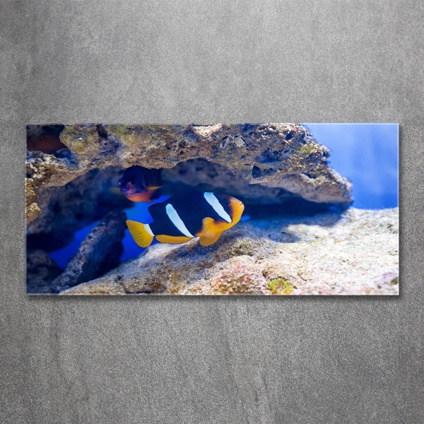 Quadro in verde Pesci tropicali