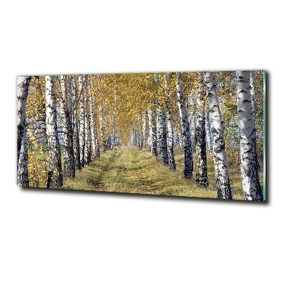 Quadro su vetro Betulle in autunno