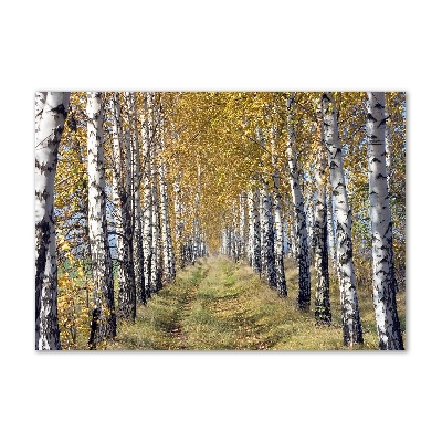 Quadro su vetro Betulle in autunno