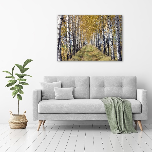 Quadro su vetro Betulle in autunno
