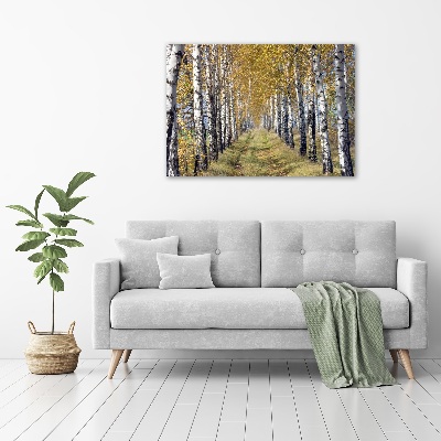 Quadro su vetro Betulle in autunno