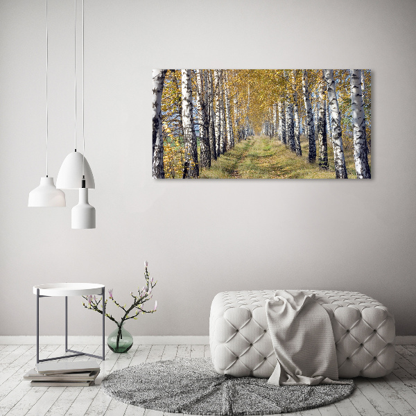 Quadro su vetro Betulle in autunno