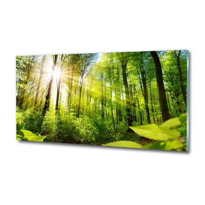 Quadro in verde Foresta al sole