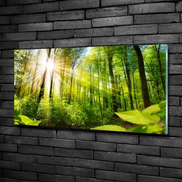 Quadro in verde Foresta al sole