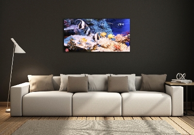 Quadro su vetro Barriera corallina