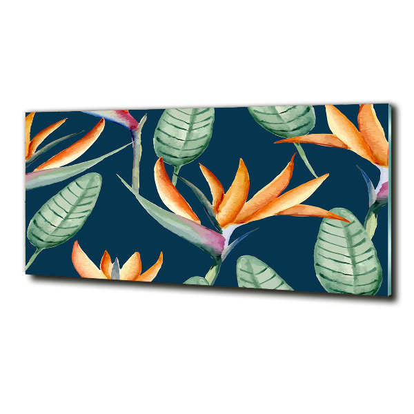 Quadro vetro Strelitzia reginae
