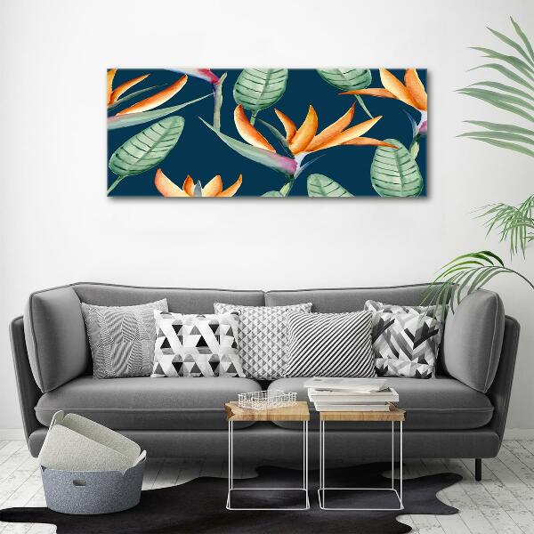 Quadro vetro Strelitzia reginae