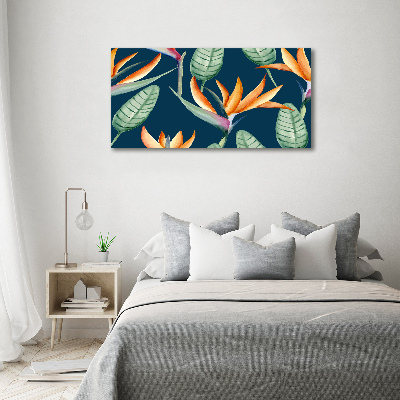 Quadro vetro Strelitzia reginae